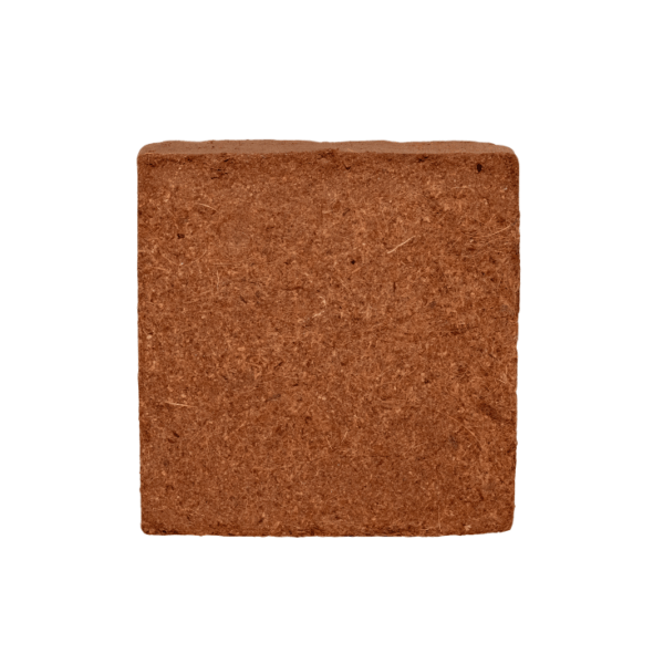 5kg fine agricoltura dettaglio