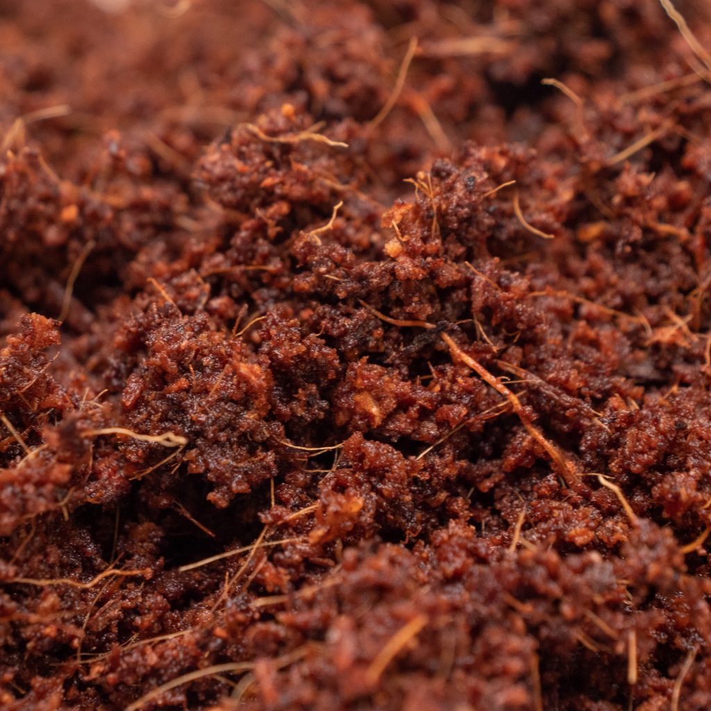 humus a base di cocco